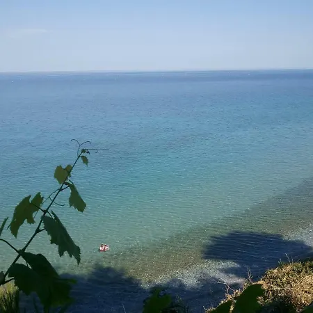 Pavlos *